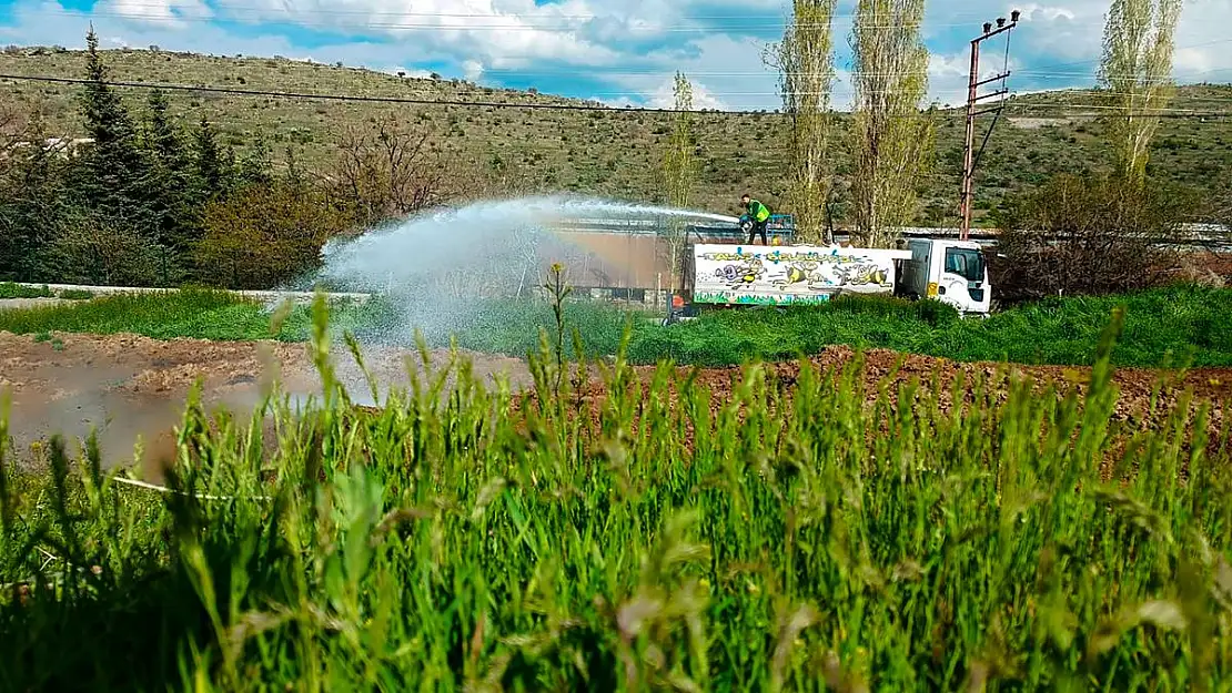 SİNEK VE HAŞERATA ÖNLEM