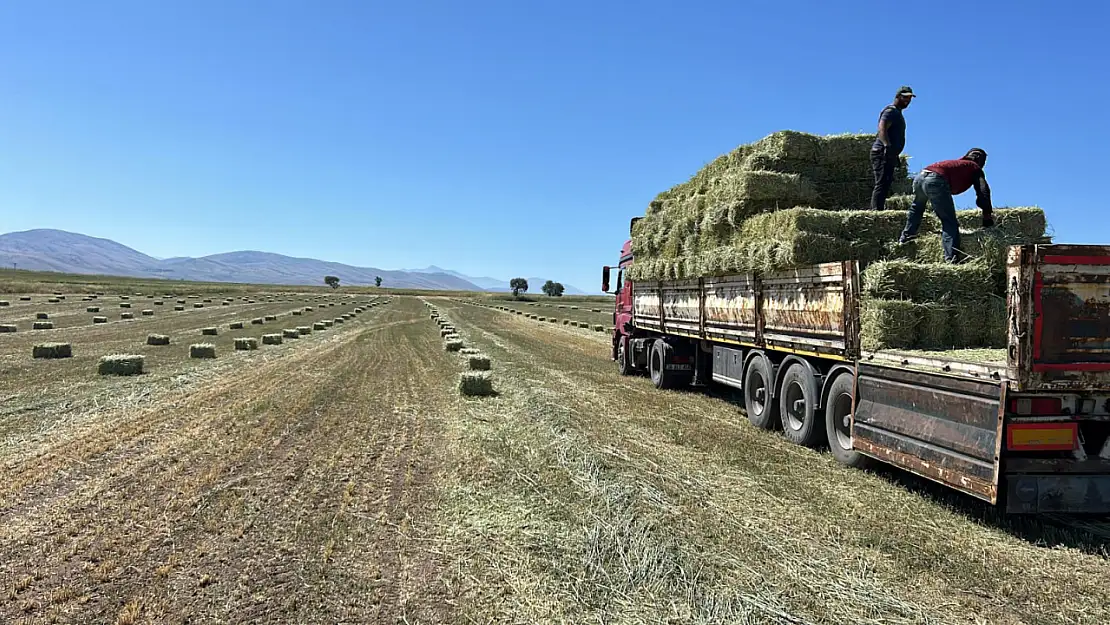 Talas Belediyesi'nden üreticiye yem desteği