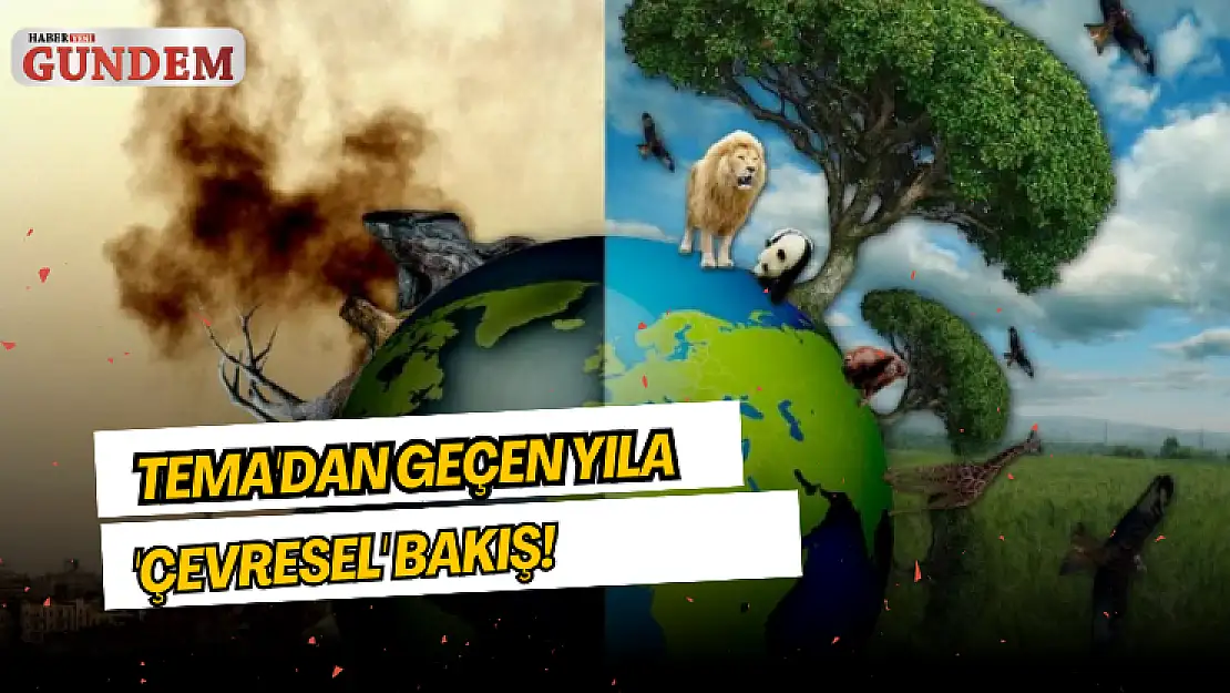 TEMA'dan geçen yıla 'çevresel' bakış!