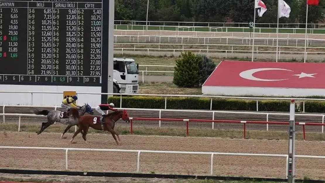 TJK'nın Nilüfer koşusunu 'Kardeşcan' kazandı