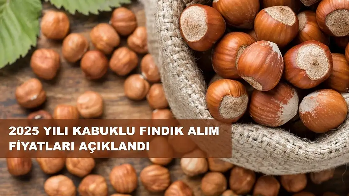 TMO 2025 Fındık Alım Fiyatlarını açıkladı