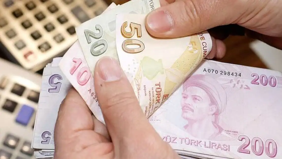 TMSF'ye 732 milyon lira aktarıldı