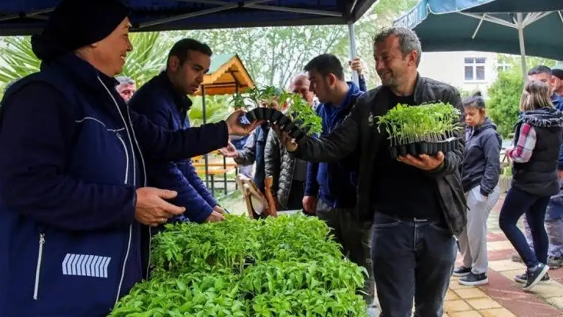 Ücretsiz fideyi alan tarlaya koştu