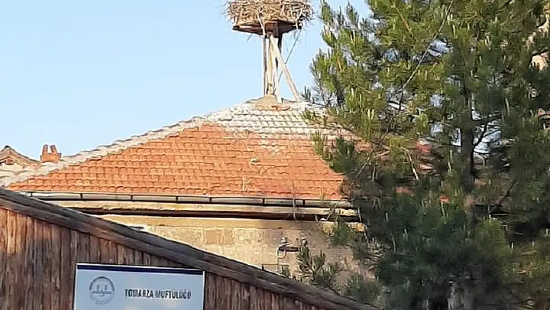 Ücretsiz Ulaşım ve Otopark Uygulaması  Devam Edecek