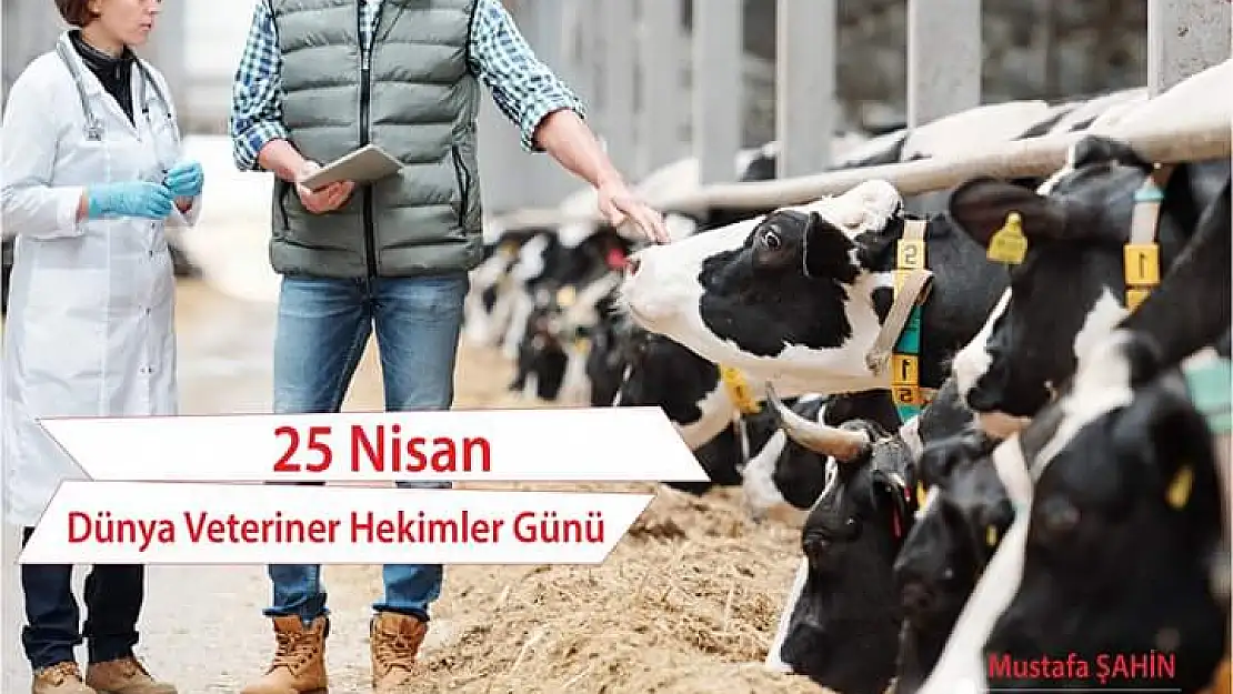 Veteriner hekimler günü