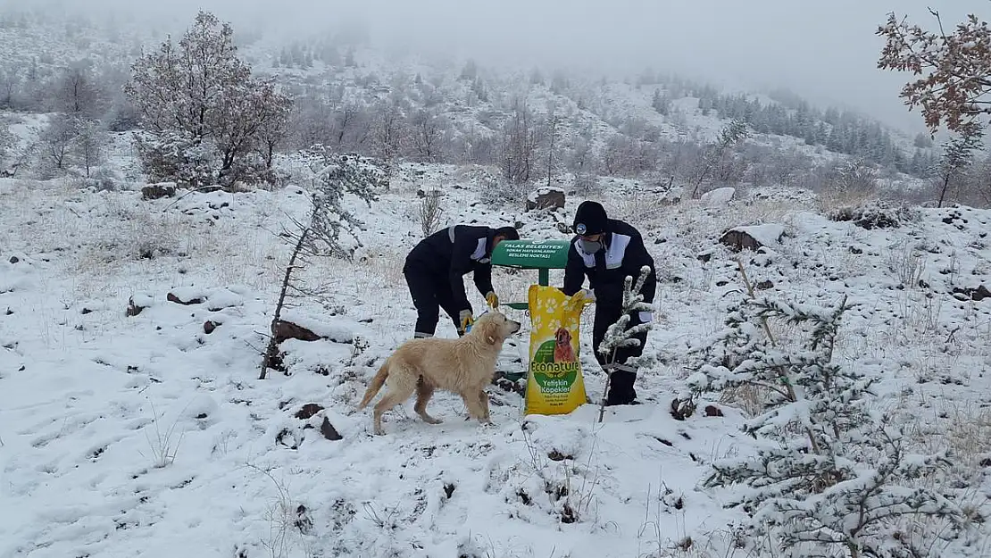 Yerleşim Alanlarına İnmesinler Diye