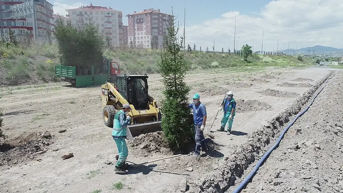 YEŞİL KOCASİNAN DA AĞAÇLAR TOPRAKLA BULUŞTU