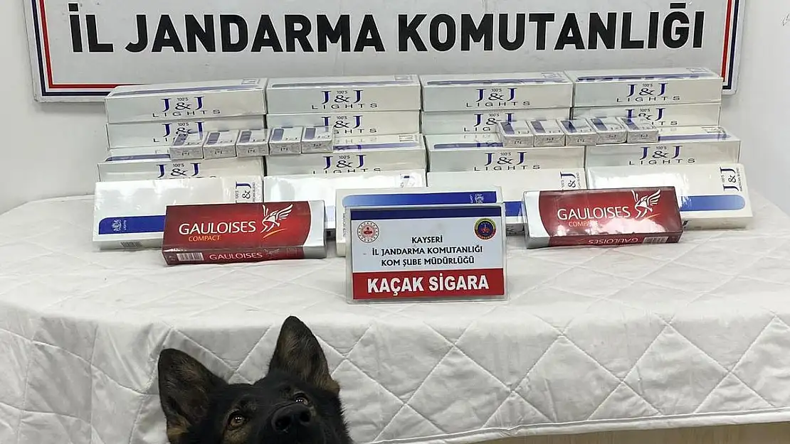 Yol kontrolü yapan jandarma, 400 paket kaçak sigara ele geçirdi