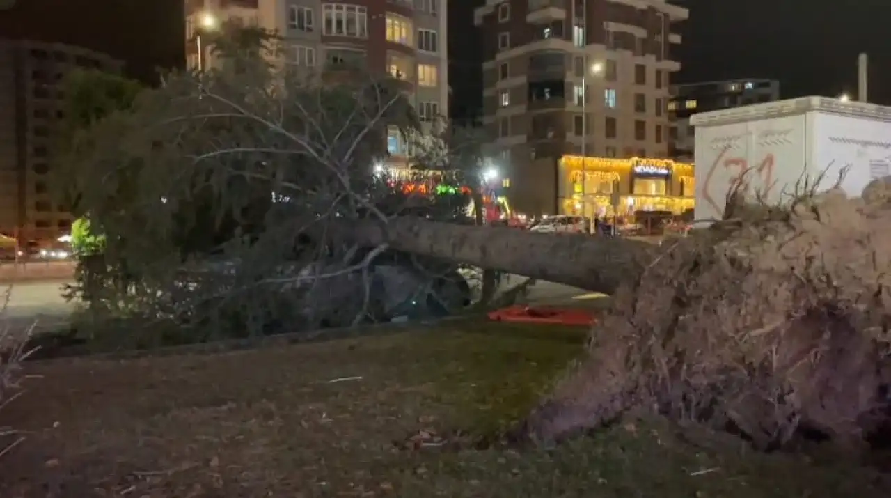 Kayseri'de şiddetli rüzgar ağacı otomobilin üzerine devirdi