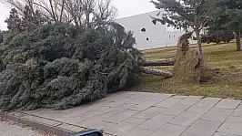 Kayseri'de şiddetli rüzgara karşı Büyükşehir ekipleri seferber oldu