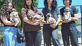 Talas Pati Evi'nde Öğrencilerden Can Dostlara Sevgi Ziyareti