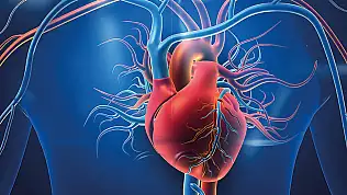 Kalp ve damar hastalıkları: Riskler ve önlemler