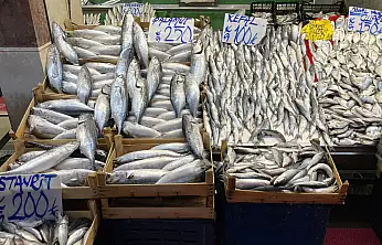 '40 Yıllık Balıkçı: Denizden Hamsi Kaynıyor, En Ucuza Kayseri Satıyor'