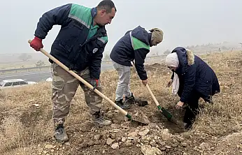 Ağcaşar'da 1200 Fidan Toprakla Buluştu