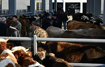Bağlamış: Kayseri'yi hayvancılıkta merkez yapacağız
