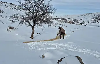 Bünyan'da sokak hayvanlarına yem desteği