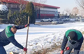 Büyükşehir'den Kışta Ağaç Güvenliği Seferberliği