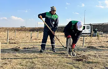 Büyükşehir'den yeşil Kayseri'ye 3 bin 200 fidan