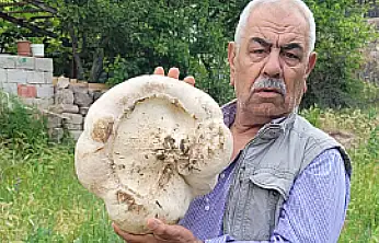 Kayseri'de 3 kilo 400 gram mantar buldu