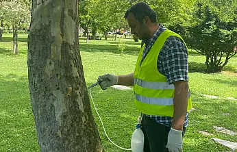 Kayseri'de ağaçlara çevre dostu arborjet uygulaması