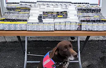 Kayseri'de kaçakçılığa geçit yok