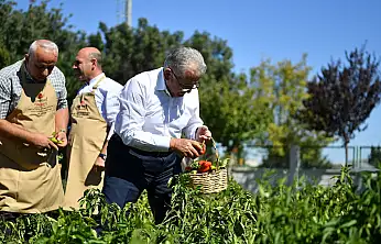 Kayseri'de organik tarım eğitimi başlıyor