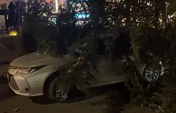 Kayseri'de şiddetli rüzgar ağacı otomobilin üzerine devirdi