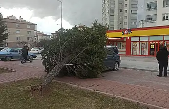 Kayseri'de şiddetli rüzgar araçta hasara yol açtı