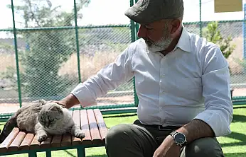 Kedi Kasabası ziyaretçi rekoru kırdı