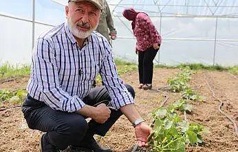 Kocasinan'da Şehir Merkezinde 60 Bin Fide Toprakla Buluştu