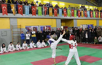 Kocasinanlı Taekwondocular Türkiye'ye damga vurdu