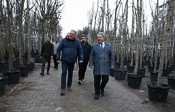 Melikgazi'de ağaçlandırma çalışmaları sürüyor