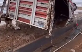 Pınarbaşı'nda Hayvan Yüklü Kamyonet Takla Attı