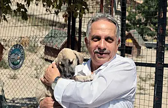 Talas Patievi 500 cana yuva oldu