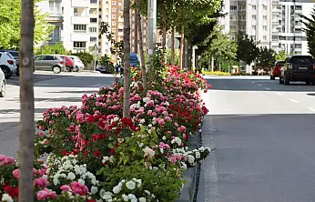 Talas'ta Çiçek Yılının Gözdesi Güller Oldu