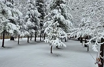 Yahyalı'da kar yağışı etkili oldu