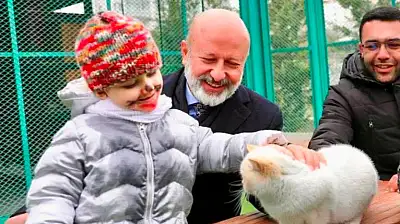 Türkiye'de bir ilk: Küçük Dostlar Ambulansı ile 10 bin 280 can kurtarıldı