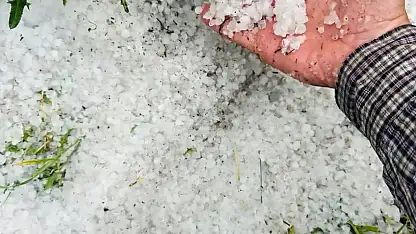 Tomarza'da Dolu Felaketi: Buğday Tarlaları Zarar Gördü