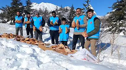 Develi'de yaban hayvanlarına yem bırakıldı