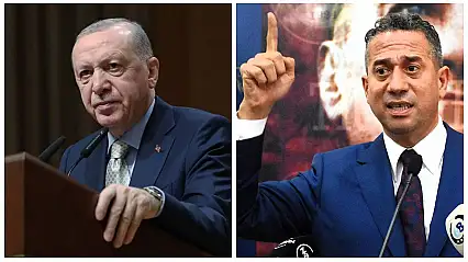Erdoğan'dan Ali Mahir Başarır'a 250 bin liralık dava