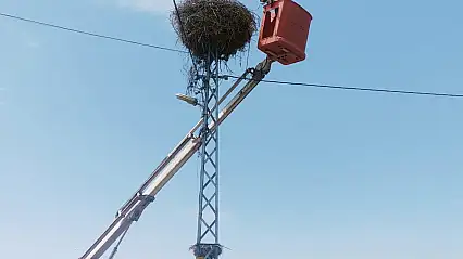 Kayseri'de Elektrik Direğinde Mahsur Kalan Leylek Kurtarıldı