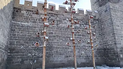 Kayseri'de güvercinler, dondurucu soğukta ahşap yuvalar ile korunuyor