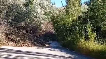 Sarıoğlan'da Heyelan: Mahalle Yolu Ulaşıma Kapandı