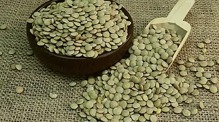 Yeşil Mercimek ve Yulaf ithalatında gümrük vergileri düşürüldü