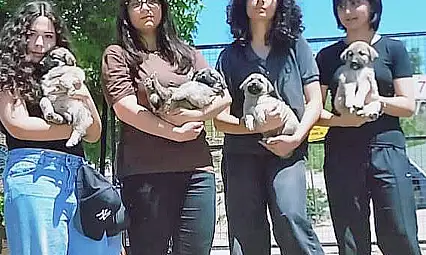 Talas Pati Evi'nde Öğrencilerden Can Dostlara Sevgi Ziyareti