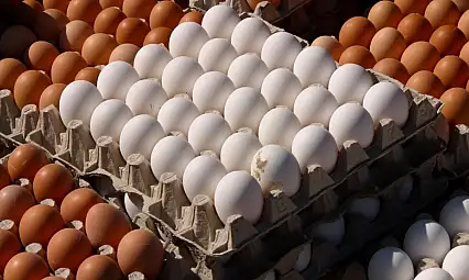 Tavuk eti üretimi arttı, yumurta geriledi