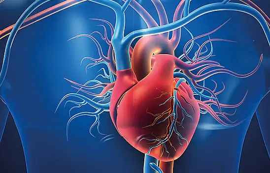 Kalp ve damar hastalıkları: Riskler ve önlemler