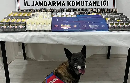 Kayseri'de 500 paket kaçak sigara yakalandı