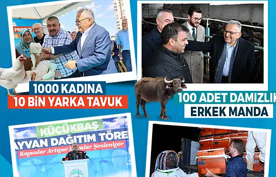 Kayseri'de Hayvancılıkta Büyük Yükseliş