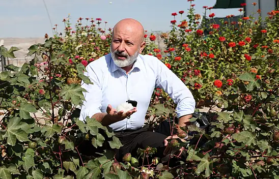 Kayseri'de pamukla yeni tarım dönemi